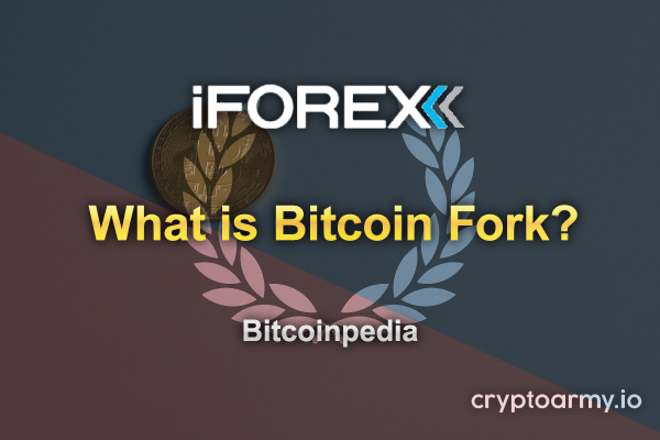 bitcoin-fork-bitcoinpedia-iforex