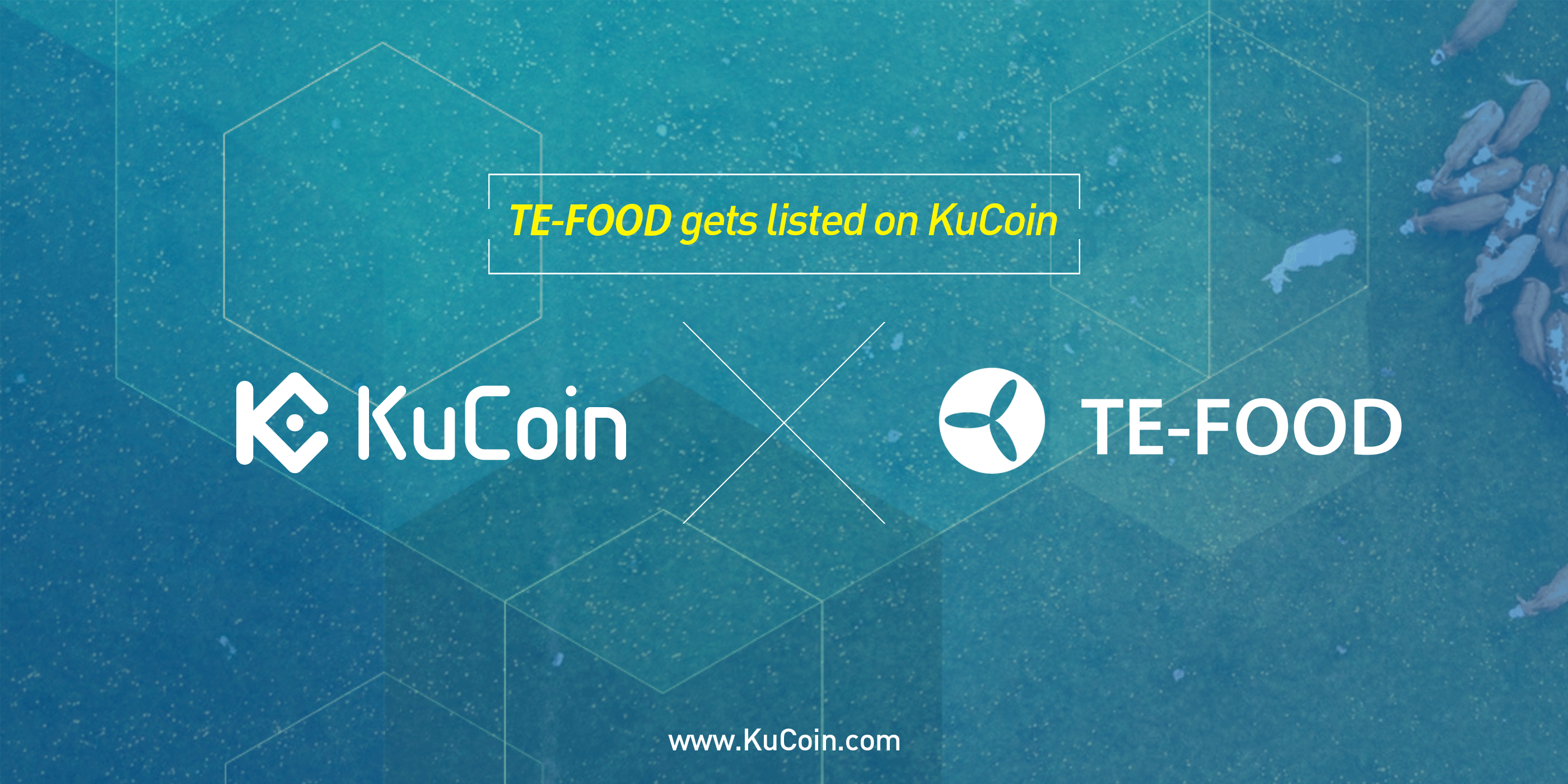 KuCoin Cryptocurrency Exchange Coin Token Trading Pairs Listing Withdraw Deposit News Introduction Altcoin Bitcoin BTC ETH Ethereum TE-FOOD TFD