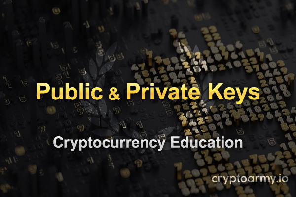 What are Public & Private Keys and Public Address