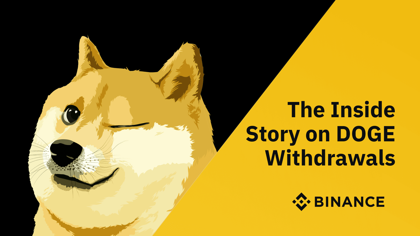 The Inside Story on DOGE withdrawals