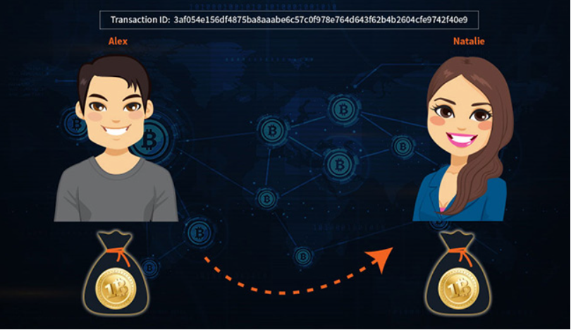 Bitcoin transaction input and output values