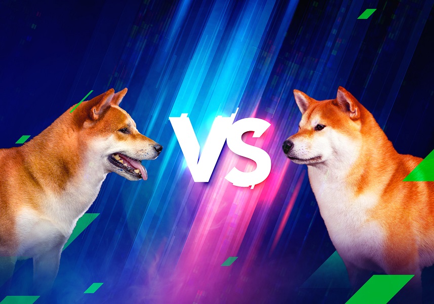 SHIB vs DOGE which canine fighter should we bet on in this fight