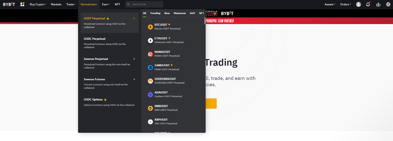 Derivatives USDC Options in the navigation bar to enter the USDC options trading page.