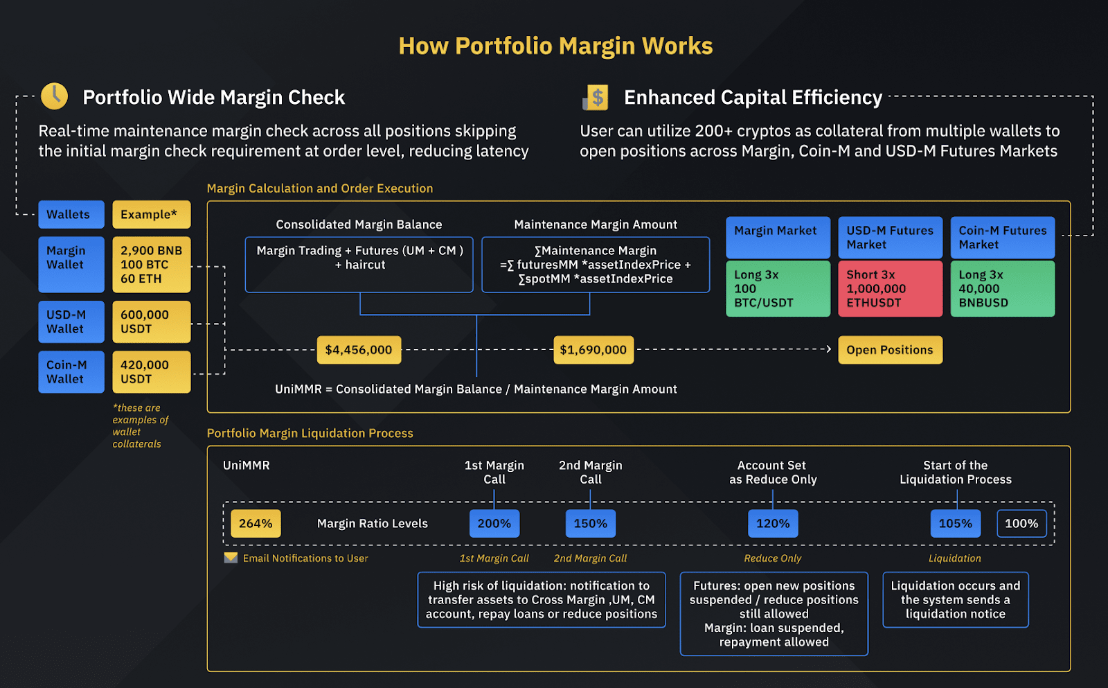 Introducing the Binance Portfolio Margin Program