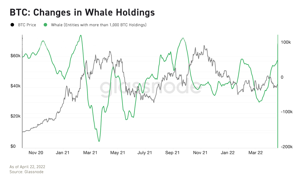 Whales have been hoarding BTC; crypto investors are making a fortune in 2021