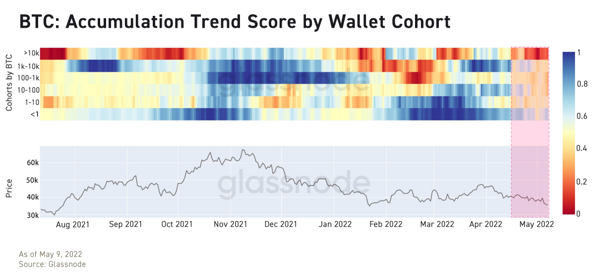 bitcoin accumulation trend score by wallet cohort