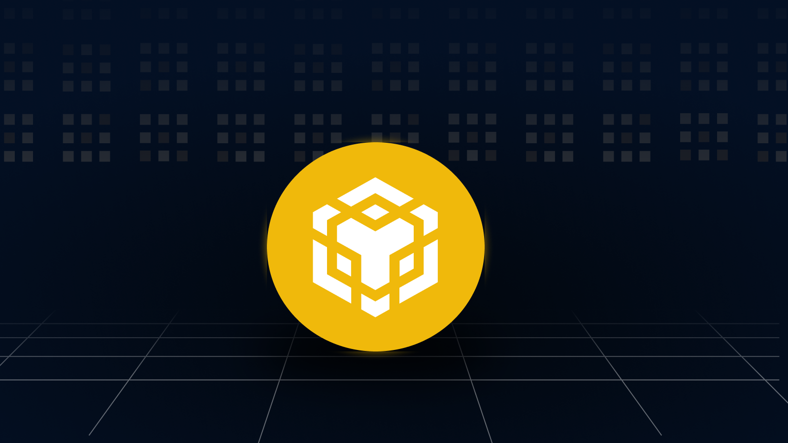 What is BNB binance coin