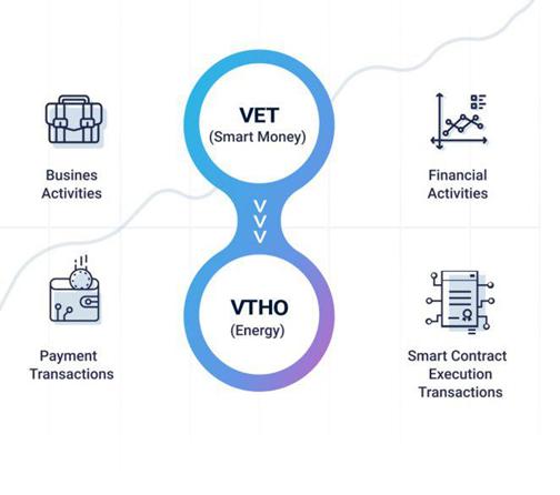 VTHO and VET also perform different functions on non-chain blockchains