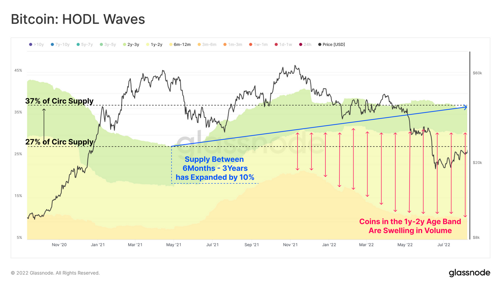 bitcoin hodl waves