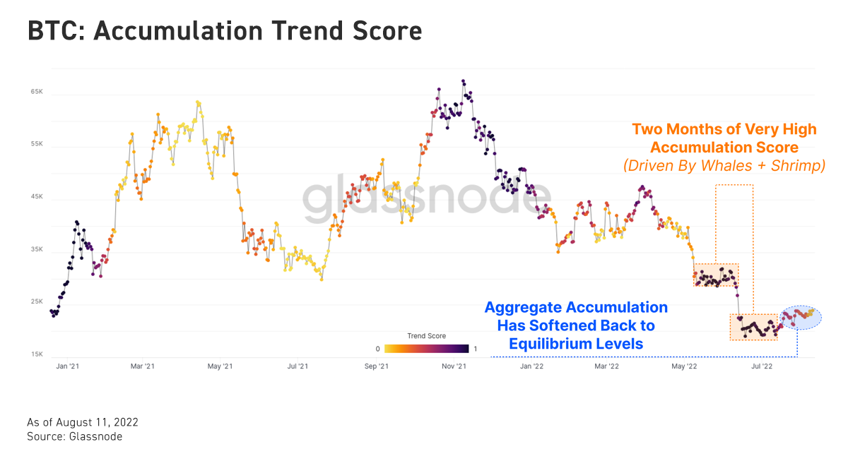 btc accumulation trend score