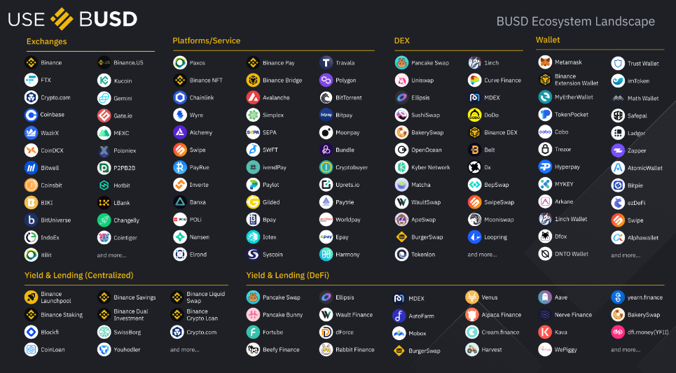 busd ecosystem landscape