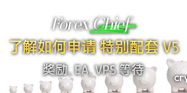 ForexChief 的特别交易员配套 V5