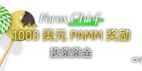 ForexChief 1000 美元 PAMM 投资资金 banner