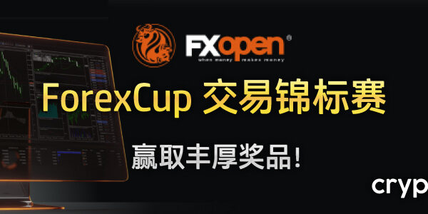 FXOpen ForexCup 交易锦标赛